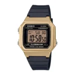ساعت مچی کاسیو مدل CASIO-W-217HM-9A